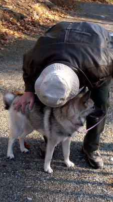 Checking for ticks.