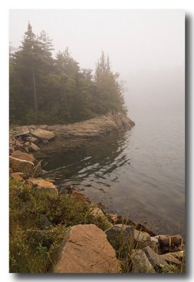 First stop....Schoodic Point....in the fog.