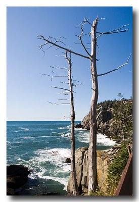 As is the coastline from the trails at Quoddy.