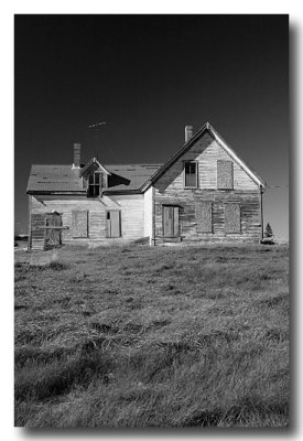 Then we are reminded of Andrew Wyeth in a lonely field outside Jonesport.