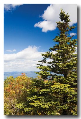 ...it's a glorious day on top of Mt. Cadillac.