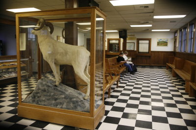 ....there are artifacts from the area.