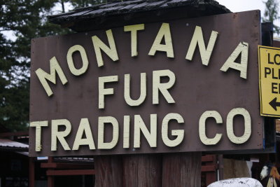 At the Montana Fur Trading Co....