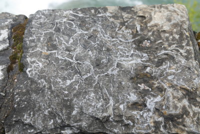 This pattern was in a rock that bordered the parking lot...thank you, God, WPA and Franklin Roosevelt!