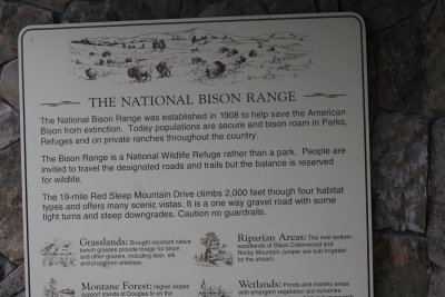 Here's what they say about 'bison.'