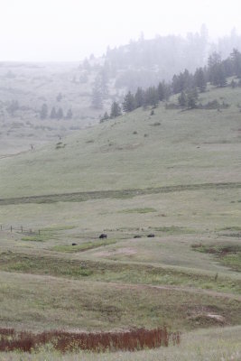 ,,,,,Prairie and environs.