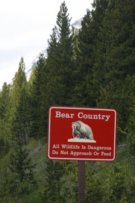 Watch out! It's BEAR country!