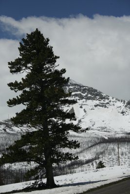 Amazing! There's still lots of snow up here!