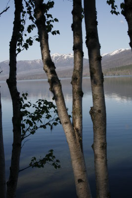 Where Lake McDonald is smooth as glass and lovely again!