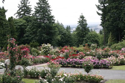 Sunday AM: We are given a tour of the Rose Garden at....