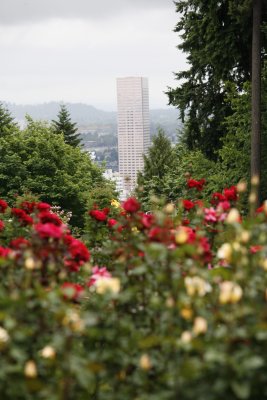 And we're on a hill with the city at our feet.
