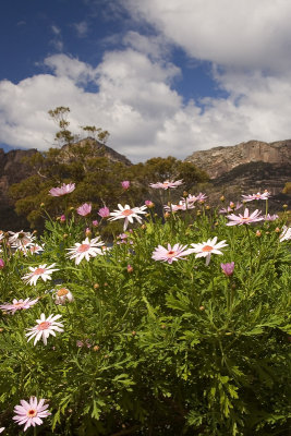 Freycinet Peninsula