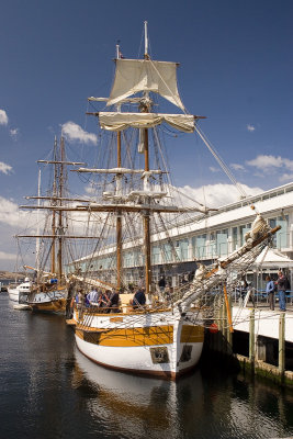 Tall ships in Hobart