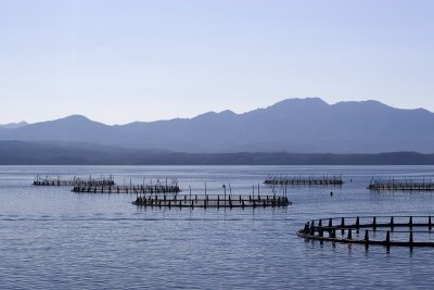 Salmon farming in Macquarie Harbour