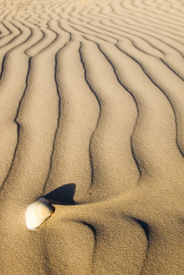 Sand detail