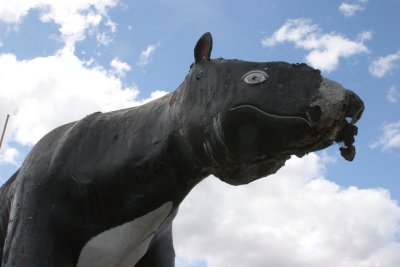 The giant tapir