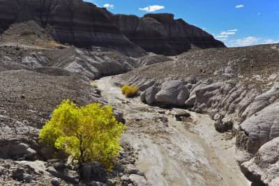 The Painted Desert Blue Mesa Trail