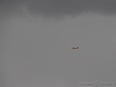 Harvard 02a.jpg