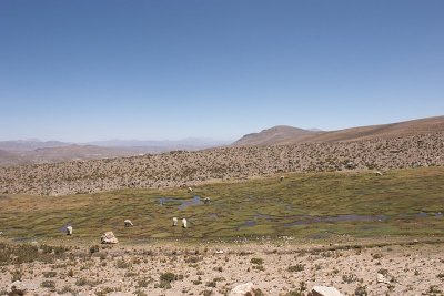 20091027-121548.jpg