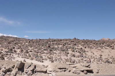 20091027-130452.jpg