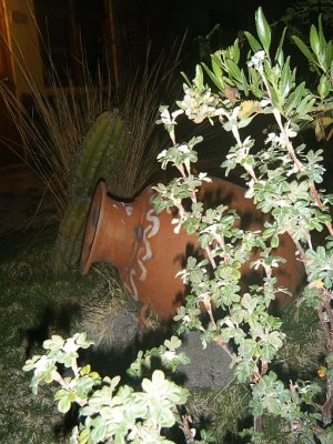 20091027-192438.JPG