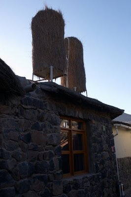 20091028-062826.jpg