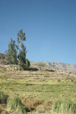 20091028-071446.jpg