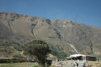 20091028-071916.jpg