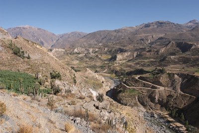 20091028-074246.jpg