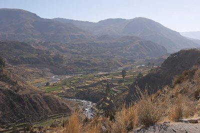 20091028-074254.jpg
