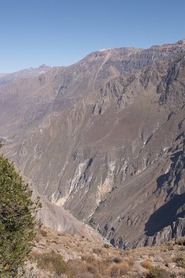 20091028-082604.jpg