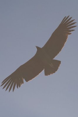 20091028-090732.jpg