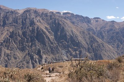 20091028-092556.jpg