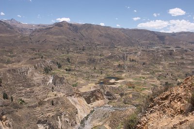 20091028-110526.jpg