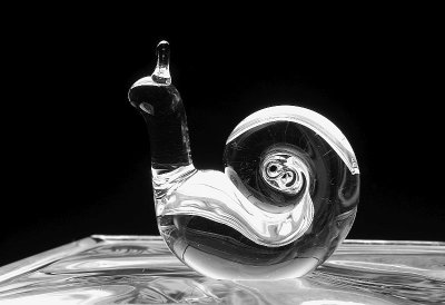 Snail: a Study in B&W