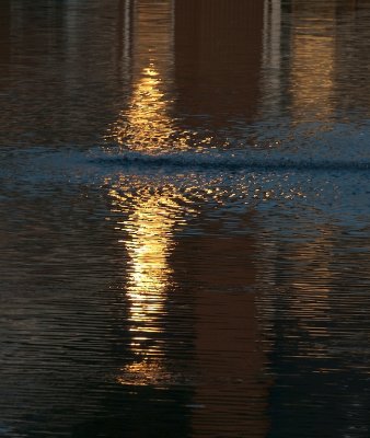 Gold and Blue Shimmer on the Water at Day's End