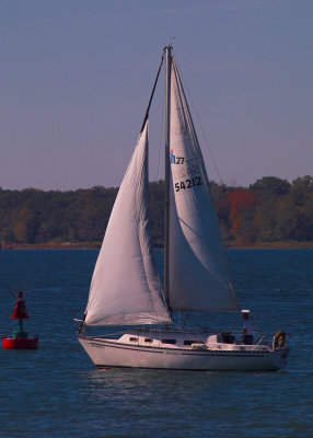 Fall Sailing