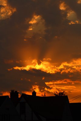 Backyard Sunset