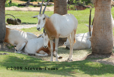 DSC_7494.JPG