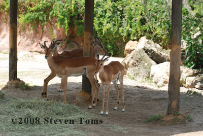 DSC_7503.JPG