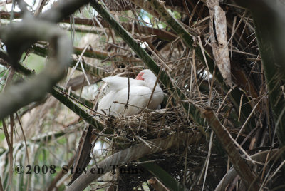 DSC_7541.JPG