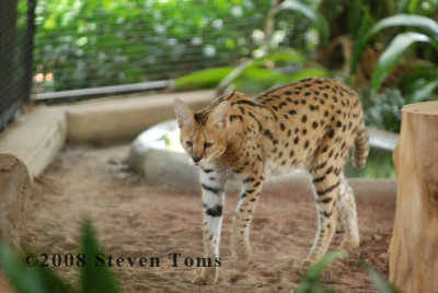 DSC_7571.JPG