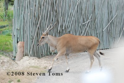 DSC_7598.JPG