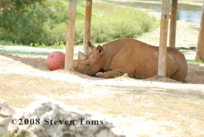 DSC_7624.JPG