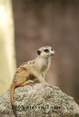 DSC_7693.JPG