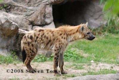 DSC_7745.JPG