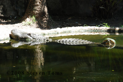 DSC_7834.JPG