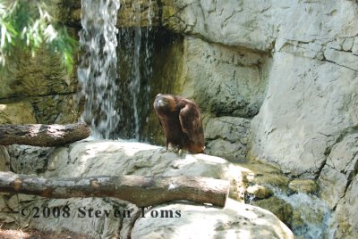 DSC_7907.JPG