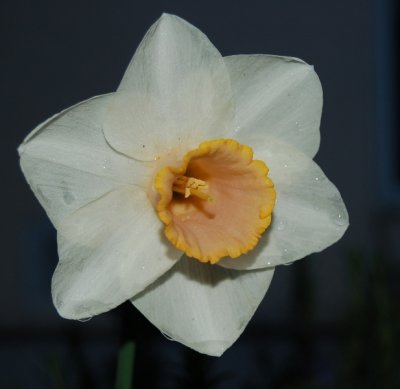 DSC_0697.JPG