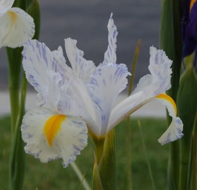 DSC_0708.JPG